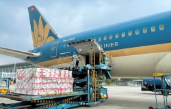 Chở hàng - Niềm hi vọng của Vietnam Airlines