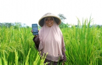 Thương mại điện tử nông nghiệp Đông Nam Á lên ngôi
