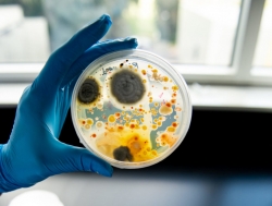 Startup dùng nấm vi sinh vật chống biến đổi khí hậu