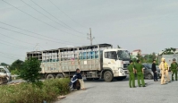 Lật tẩy doanh nghiệp “đen” tại Thái Bình (Kỳ 4): Huyện Quỳnh Phụ “dung túng” cho hành vi “côn đồ”?