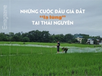 [eMagazine] Những cuộc đấu giá đất “lạ lùng” tại Thái Nguyên