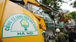 Hà Nội: Lãnh đạo Sở Xây dựng một ngày ký 3 quyết định trúng thầu gần 2000 tỷ cho Công ty cây xanh