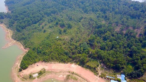 Tại kỳ họp thứ hai, HĐND tỉnh Thái Nguyên khóa XIV cũng đã thông qua quyết định chủ trương chuyển mục đích sử dụng đối với hơn 119 ha rừng sản xuất (rừng trồng) để thực hiện 13 dự án.