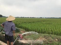 Hà Nội xin “gỡ khó” dự án trường đua ngựa triệu đô tại huyện Sóc Sơn