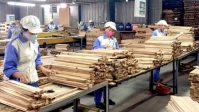Gỡ khó về hoàn thuế VAT cho doanh nghiệp gỗ