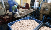 Vì sao nhiều doanh nghiệp Việt bị lừa xuất khẩu?