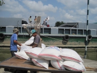 Xuất khẩu gạo: Doanh nghiệp lần thứ tư gửi đơn cầu cứu Thủ tướng Chính phủ