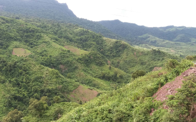 Chuyển đổi đất rừng trái phép, Công ty TNHH An Phú Nông bị UBND tỉnh Lâm Đồng ra quyết định xử phạt hành chính 251 triệu đồng - Ảnh minh họa