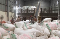 Hải Phòng: Phát hiện, tạm giữ hàng 100 tấn tinh bột sắn nghi “phù phép” xuất xứ