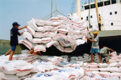 Cần xem xét, đánh giá lại một số quy định về kinh doanh xuất khẩu gạo