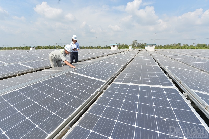 36 nhà đầu tư có các dự án điện mặt trời, điện gió tại Việt Nam có kiến nghị gửi Thủ tướng Chính phủ - Ảnh minh họa
