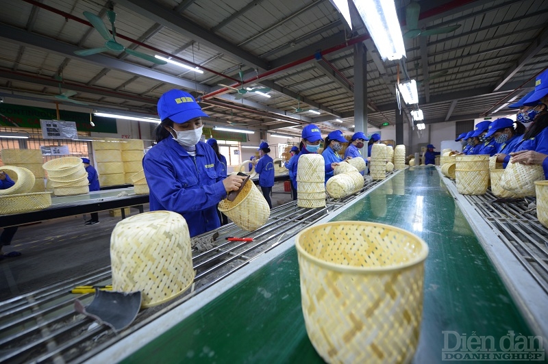 Doanh nghiệp tư nhân của Việt Nam hiện nay chủ yếu kinh doanh trong các lĩnh vực thương mại, dịch vụ, sản xuất nông nghiệp, tiểu thủ công nghiệp - Ảnh minh họa