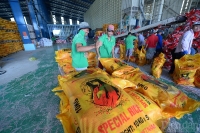 Sửa Nghị định về kinh doanh xuất khẩu gạo: Cần tiếp tục giảm các điều kiện kinh doanh