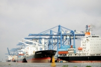 Cân nhắc việc tăng khung giá của một số loại dịch vụ tại cảng biển