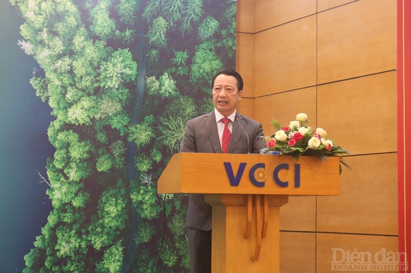 Phó Chủ tịch VCCI – Nguyễn Quang Vinh phát biểu khai mạc Hội thảo