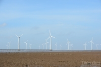 Sửa Luật Điện lực: Nhiều quy định về điện gió ngoài khơi còn bất cập