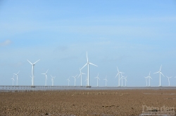 Sửa Luật Điện lực: Nhiều quy định về điện gió ngoài khơi còn bất cập