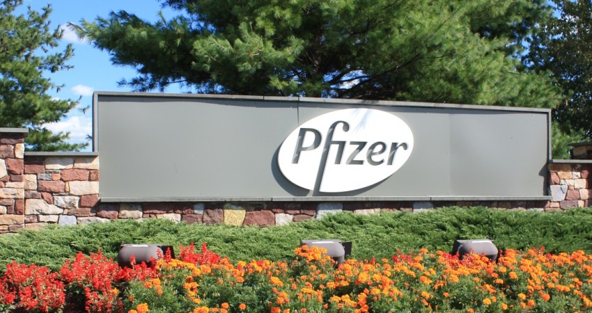 Với túi tiền mặt rủng rỉnh, Pfizer đang rất mạnh dạn trong các thương vụ M&A.