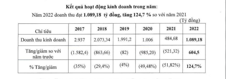 Báo cáo tài chính của Công ty cổ phần Ánh Dương Việt Nam- Vinasun.