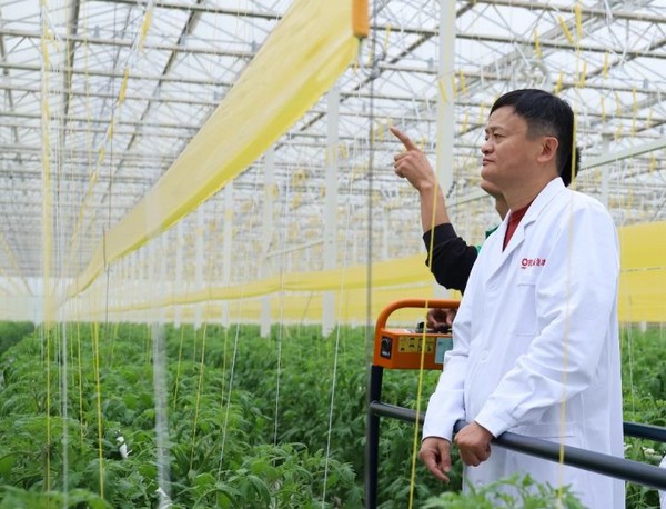 Lĩnh vực nghiên cứu của ông sẽ là sản xuất nông nghiệp và thực phẩm bền vững đang là mối quan tâm của Jack Ma.