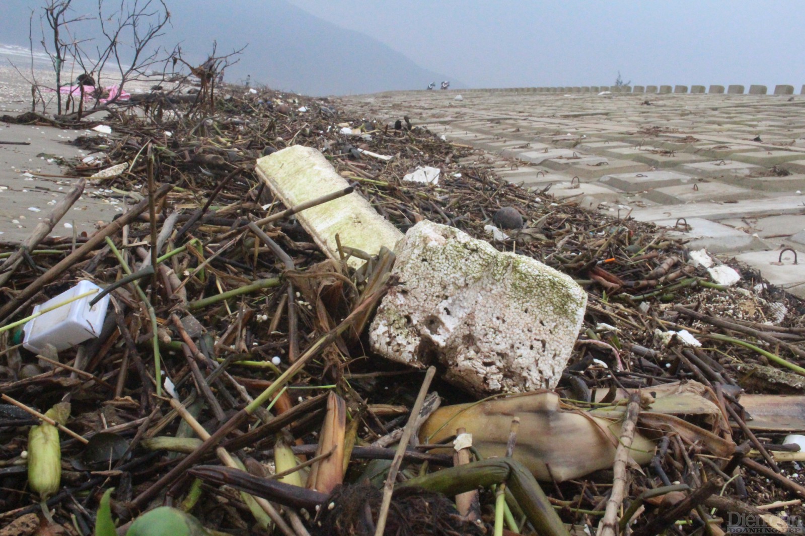 Những ngày mưa lũ, nước thủy triều dâng cao kéo theo rất nhiều rác thải từ các con lạch đổ ra biển Thạch Kim.