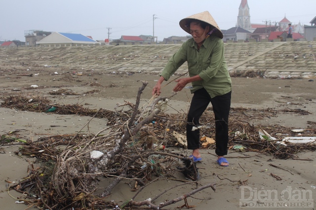 Người dân sống dọc bờ biển thường ra khu vực này nhặt cây khô về phơi làm củi, một số người khác thu gom chai nhựa về bán.