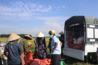 VIỆC TỬ TẾ: Một thôn ở Hà Tĩnh bị phong tỏa vì Covid-19, cộng đồng chung tay giải cứu dưa