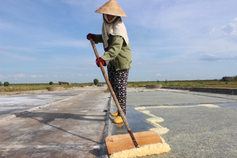 Để nghề muối phát triển bền vững ngoài thay đổi phương thức sản xuất còn cần phải tăng cường tổ chức sản xuất muối theo chuỗi