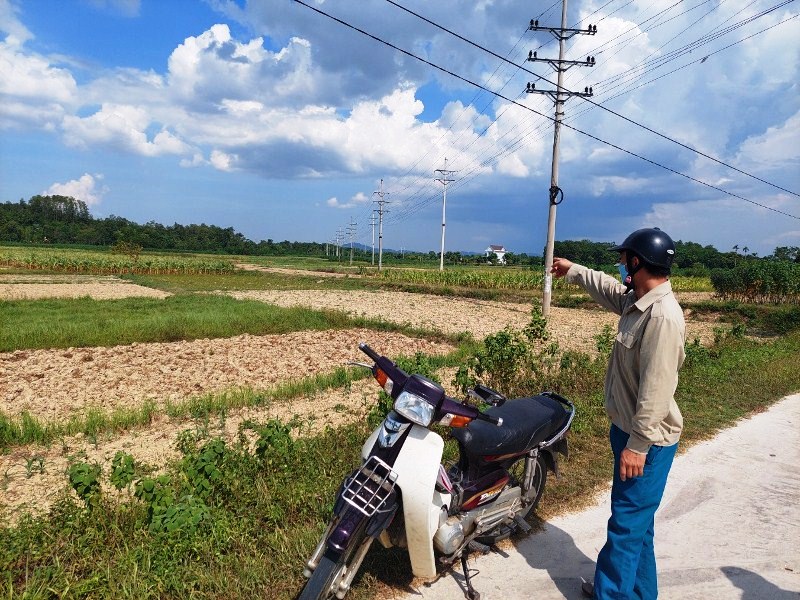 32ha đất sản xuất nông nghiệp của 226 hộ dân thuộc 2 thôn Hà Sơn và Bảo Trung được thu hồi để thực hiện dự án