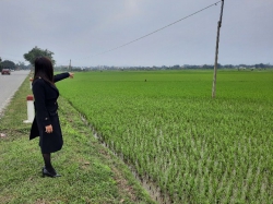 Hà Tĩnh: Dừng đấu giá 9 lô đất ở nông thôn giá “trên trời”