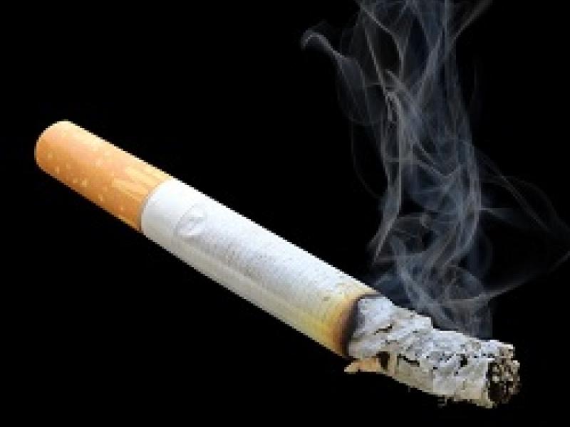 Các nhà nghiên cứu cho rằng nicotine trong thuốc lá có thể là yếu tố khiến virus không thể xâm nhập tế bào .