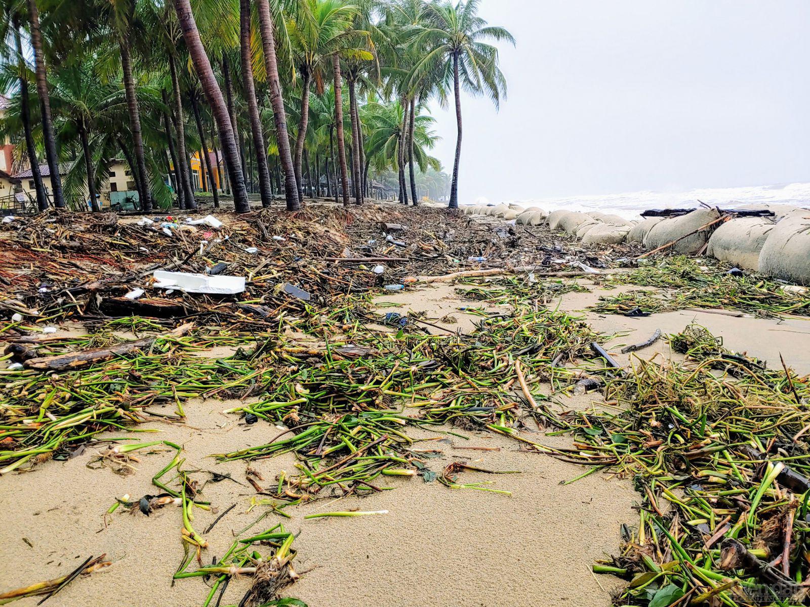 Một lượng lớn rác ứ đọng trên bờ biển.