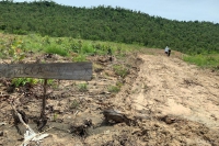 Gia Lai: Khởi tố vụ phá rừng phòng hộ đầu nguồn Chư Sê