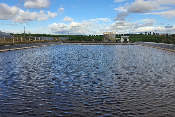 3.	Một bể xử lý nước thải trong chăn nuôi đạt tiêu chuẩn bảo vệ môi trường