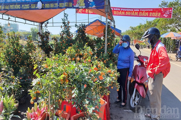 Chợ hoa đêm ở đường Nguyễn Văn Cừ thành phố Pleiku cũng vắng vẻ.