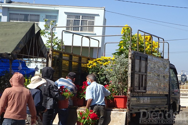 Hiếm hoi một gia đình mua hoa đầy xe tải.