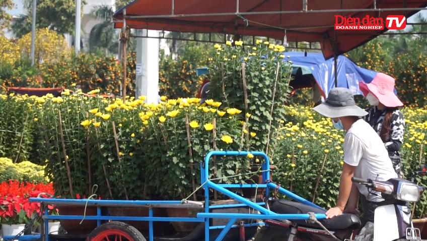Đà Nẵng: Thị trường hoa Tết được giá, thương lái phấn khởi chờ người mua
