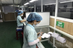 Đà Nẵng: Kinh tế hồi phục, doanh nghiệp quay lại hoạt động tăng cao