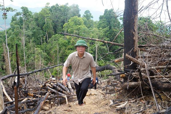 ông Lê Trí Thanh trong một chuyến kiểm tra rừng bị tàn phá tại miền núi.