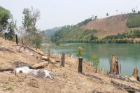 Kon Tum: Hơn 600ha đất lâm nghiệp bị người dân lấn chiếm