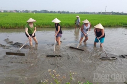 Quảng Nam: Liên kết hành động phục hồi du lịch