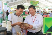 Quảng Nam trợ lực cho cộng đồng khởi nghiệp