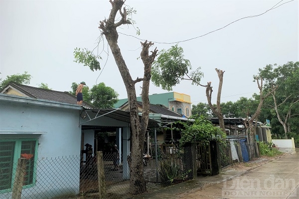 Trước khi bão số 4 (bão Noru) tiến vào đất liền, người dân trên toàn địa bàn tỉnh Quảng Nam đang cấp tốc gia cố nhà cửa.