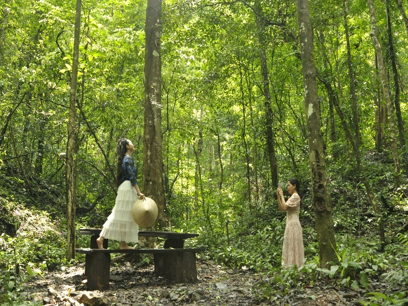 Các bạn trẻ yêu thiên nhiên cùng nhau khám phá quang cảnh trong rừng Kon Ka Kinh.