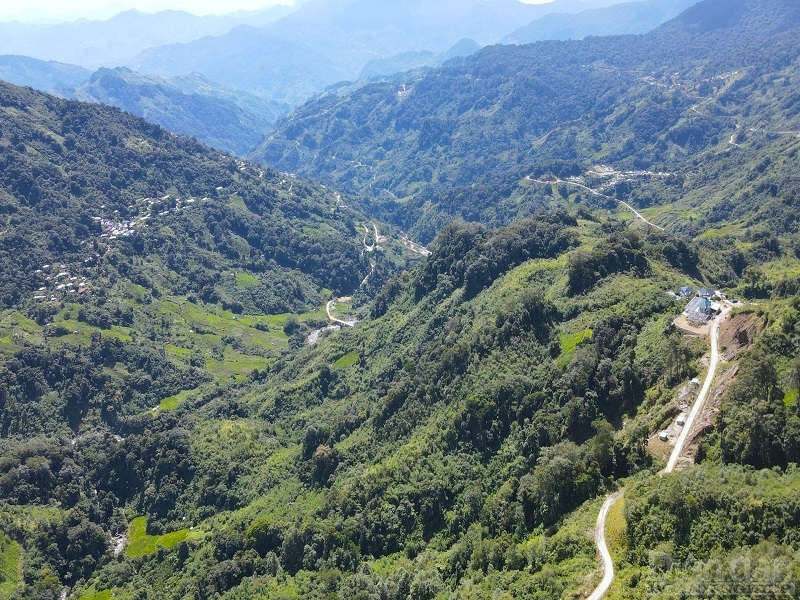 Địa phương tăng cường công tác bảo vệ rừng để phát triển thương hiệu Quốc bảo Sâm Ngọc Linh, tìm hướng kết hợp với du lịch.