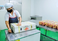 Hải Dương: Kết nối doanh nghiệp xuất nhập khẩu tìm đầu ra cho nông sản