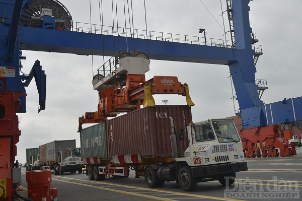 Hoạt động bốc dỡ hàng hoá tại khu vực cảng biển Hải Phòng