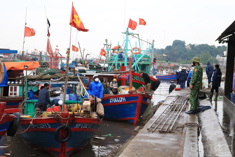 Theo ghi nhận của phóng viên Diễn đàn Doanh nghiệp, khu vực cảng cá Ngọc Hải tập trung khá đông tàu thuyền ra vào