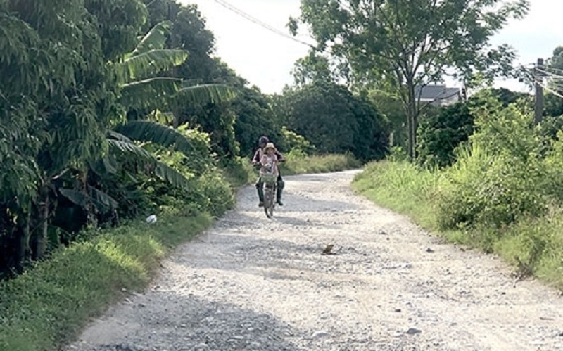 Đường giao thông khu vực dự án đảo Cò, huyện Thanh Miện xuống cấp nghiêm trọng