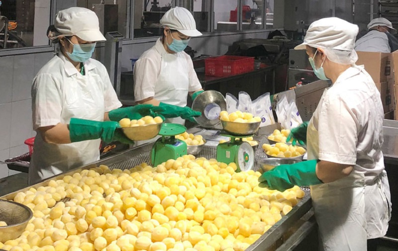 Chế biến khoai tây xuất khẩu tại Công ty cổ phần Xuất nhập khẩu Vifoco